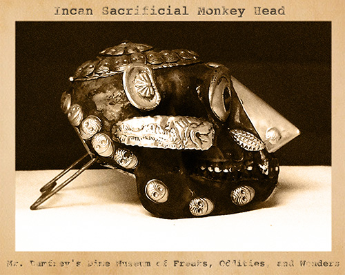 Curiosity House: Incan Sacrificial Monkey Head